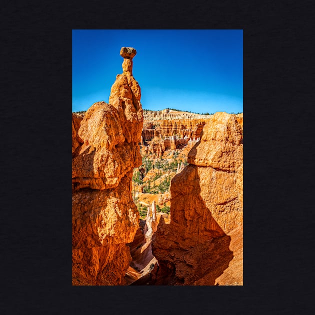 Bryce Canyon National Park by Gestalt Imagery